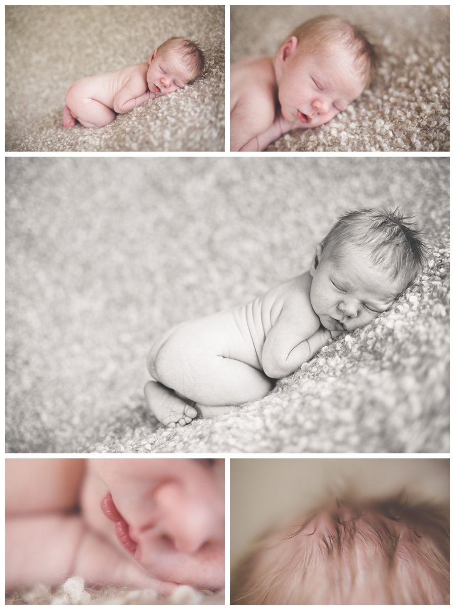 Leesburg FL Newborn Photographer